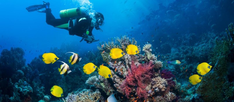 zelf-jouw-reis-samenstellen